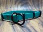 Preview: Mitwachsendes Halsband , 19 mm , 34 - 49 cm , Biothane Teal , Hardware Schwarz