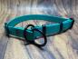 Preview: Mitwachsendes Halsband , 19 mm , 34 - 49 cm , Biothane Teal , Hardware Schwarz