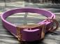 Preview: Schnallenhalsband , 16 mm , 36 - 44 cm , Biothane Amethyst Orchid , Hardware Roségold