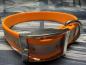 Preview: Schnallenhalsband , 19 mm , 28 - 36 cm , Biothane Peach reflektierend , Hardware Silber