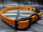 Preview: Schnallenhalsband zweifarbig , 16 mm , 44 - 52 cm , Biothane Peach und Schwarz ; Hardware Schwarz