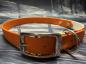 Preview: Schnallenhalsband zweifarbig , 19 mm , 44 - 52 cm , Biothane Burnt Orange und UV Biothane Retriever ; Hardware Silber