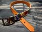 Preview: Schnallenhalsband zweifarbig , 19 mm , 44 - 52 cm , Biothane Burnt Orange und UV Biothane Retriever ; Hardware Silber