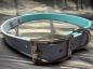 Preview: Schnallenhalsband zweifarbig , 19 mm , 44 - 52 cm , Biothane Skyan Blau und Polar Blau ; Hardware Silber