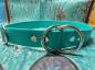 Preview: Zugstopphalsband einfach , 25 mm , 50 cm , Biothane Teal , Hardware vernickelter Stahl silber