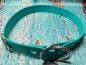 Preview: Zugstopphalsband einfach , 25 mm , 50 cm , Biothane Teal , Hardware vernickelter Stahl silber