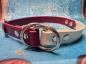 Preview: Zugstopphalsband zweifarbig , 19 mm , 39 cm , Biothane Weinrot - Arctic Wolf , Hardware vernickelter Stahl silber