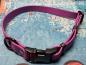 Preview: Verstellbares Halsband mit Klickverschluss , einfarbig , 19 mm , 42 - 57 cm , Biothane Grape , Hardware Schwarz