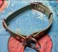 Preview: Zugstopphalsband verstellbar mit Schnalle , 25 mm , 42-50 cm , Biothane Sage Green , Hardware Roségold