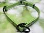 Preview: Zugstopphalsband verstellbar mit Schnalle , zweifarbig , 16 mm , 38 - 44 cm , Biothane Pastell Grün , Hardware Schwarz