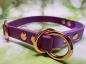 Preview: Zugstopphalsband zweifarbig , 16 mm , 33 cm , Biothane Grape - Amethyst Orchid , Hardware vernickelter Stahl roségold