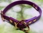 Preview: Zugstopphalsband zweifarbig , 16 mm , 33 cm , Biothane Grape - Amethyst Orchid , Hardware vernickelter Stahl roségold