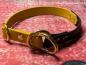 Preview: Zugstopphalsband zweifarbig , 19 mm , 37 cm , Biothane Senfgelb und Schwarz , Hardware Messing