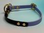 Preview: Zugstopphalsband zweifarbig 13 mm