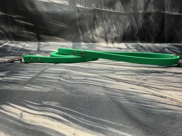 Führleine einfarbig , 13 mm , 200 cm , Biothane Emerald Green , Hardware Silber