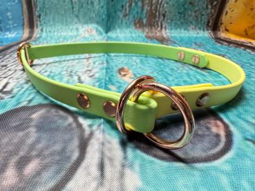 Preview: Zugstopphalsband zweifarbig ; 13 mm ; 45 cm ; Biothane Pastell Grün und Pastell Gelb ; Hardware Roségold