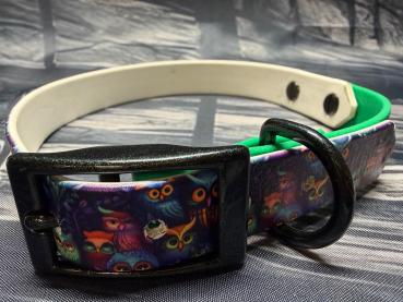 Schnallenhalsband zweifarbig , 19 mm , 36 - 44 cm , Biothane UV Biothane Owls und Emerald Grün ; Hardware Galaxy Green