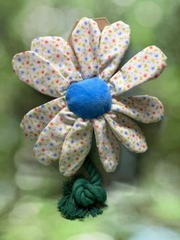 Garden Paws Flower Sky Flowers M