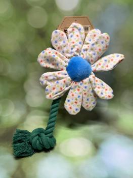 Garden Paws Flower Sky Flowers S