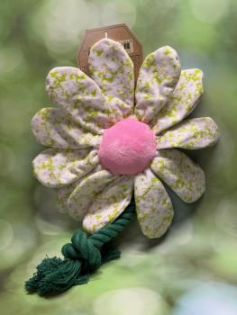 Garden Paws Flower Spring Sakura M