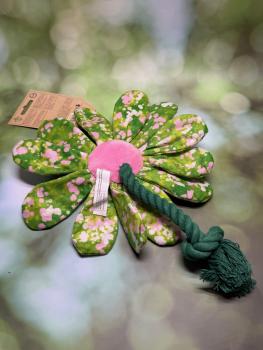 Preview: Garden Paws Flower Summer Shrubs Sommer Sträucher M