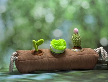 Garden Paws Snuffle Box Schnüffelspielzeug Sprout,Crop & Kaktus