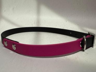 Preview: Schnallenhalsband zweifarbig 16 mm