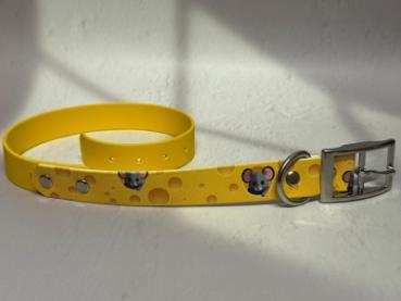 Preview: Schnallenhalsband zweifarbig 25 mm