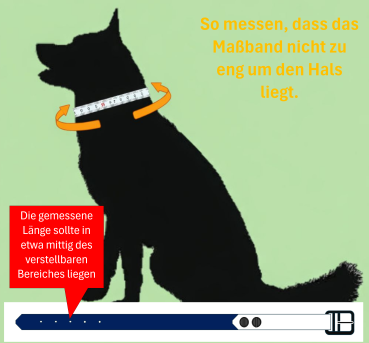 Preview: Schnallenhalsband zweifarbig 13 mm