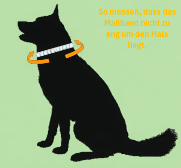 Preview: Halsbänder mit Klickverschluss verstellbar 19 mm