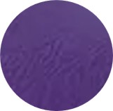 29 Violet