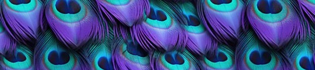 UV ( Purple Peacock