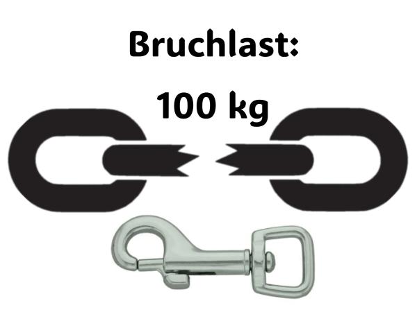 Führleine einfarbig , 13 mm , 130 cm , Biothane Neon Orange reflektierend , Hardware Silber