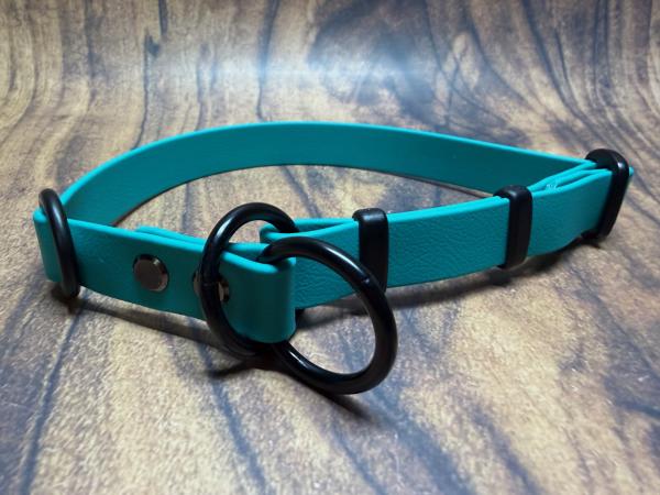 Mitwachsendes Halsband , 19 mm , 34 - 49 cm , Biothane Teal , Hardware Schwarz