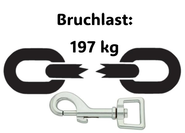 Führleine einfarbig , 19 mm , 200 cm , Biothane Neon Orange reflektierend , Hardware Silber