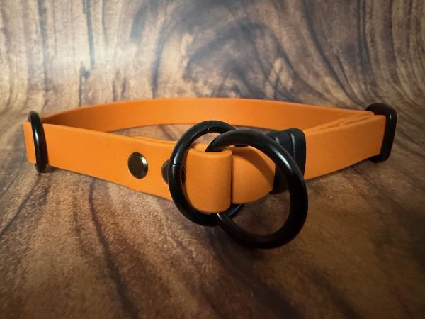 Mitwachsendes Halsband , 19 mm , 34 - 49 cm , Biothane Burnt Orange , Hardware Schwarz