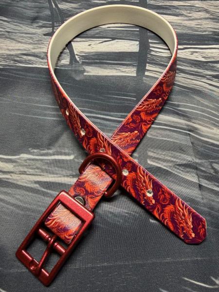 Schnallenhalsband , 19 mm , 40 - 48 cm , Biothane UV-Biothane Red Dragon , Hardware Galaxy Red