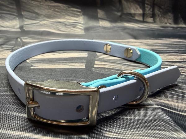 Schnallenhalsband zweifarbig , 13 mm , 32 - 40 cm , Biothane Polar Blau und Skyan Blau , Hardware Silber