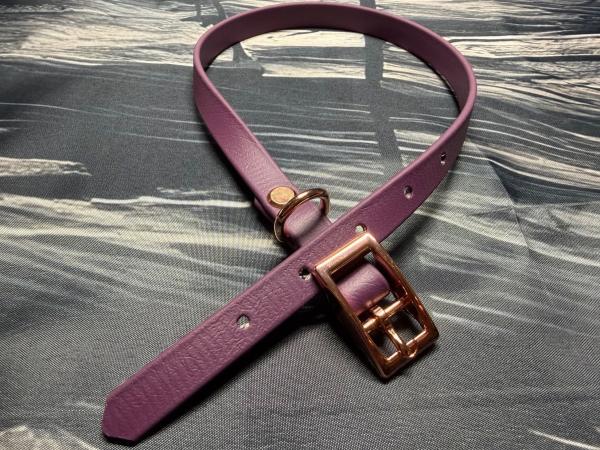 Schnallenhalsband , 13 mm , 36 - 44 cm , Biothane Aubergine , Hardware Roségold