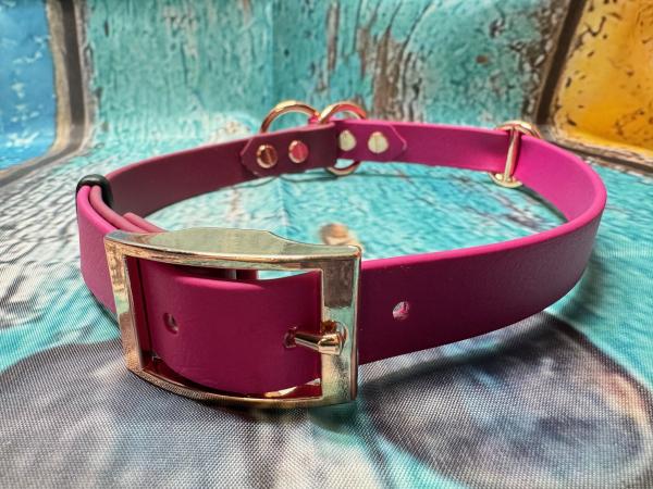 Schnallenhalsband zweifarbig , 19 mm , 46 - 53 cm , Biothane Magenta Rosa und Weinrot , Hardware Roségold