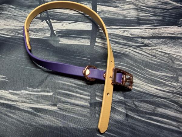 Schnallenhalsband zweifarbig , 13 mm , 36 - 44 cm , Biothane Light Gold und Violet , Hardware Roségold