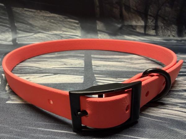 Schnallenhalsband , 16 mm , 44 - 52 cm , Biothane Coral , Hardware Schwarz