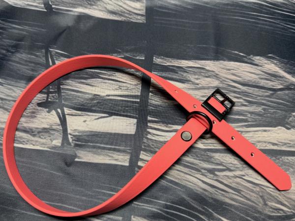 Schnallenhalsband , 16 mm , 44 - 52 cm , Biothane Coral , Hardware Schwarz