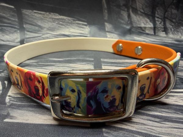 Schnallenhalsband zweifarbig , 19 mm , 44 - 52 cm , Biothane UV Biothane Retriever und Burnt Orange ; Hardware Silber