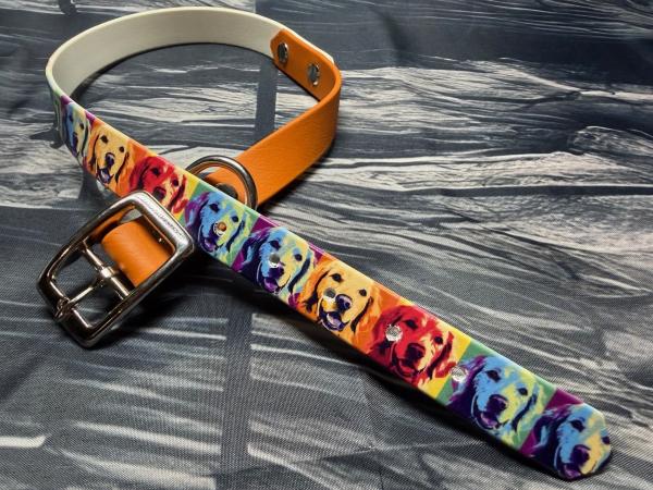 Schnallenhalsband zweifarbig , 19 mm , 44 - 52 cm , Biothane UV Biothane Retriever und Burnt Orange ; Hardware Silber