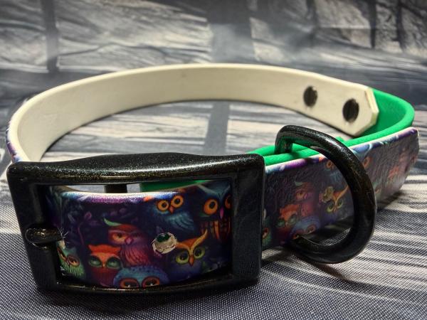 Schnallenhalsband zweifarbig , 19 mm , 36 - 44 cm , Biothane UV Biothane Owls und Emerald Grün ; Hardware Galaxy Green