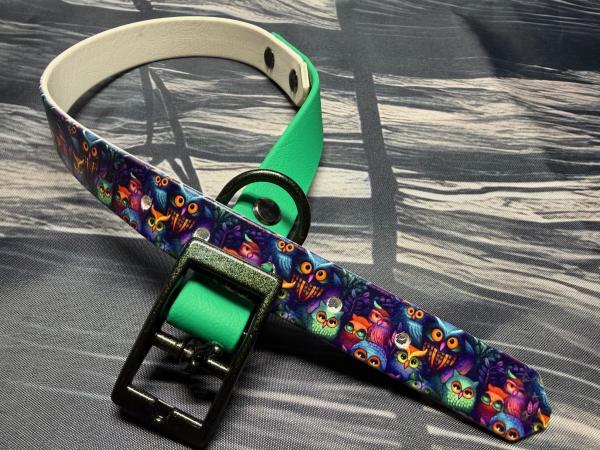 Schnallenhalsband zweifarbig , 19 mm , 36 - 44 cm , Biothane UV Biothane Owls und Emerald Grün ; Hardware Galaxy Green