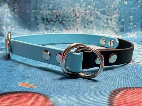 Zugstopphalsband zweifarbig , 16 mm , 38 cm , Biothane Skyan Blau - Schwarz , Hardware vernickelter Stahl silber