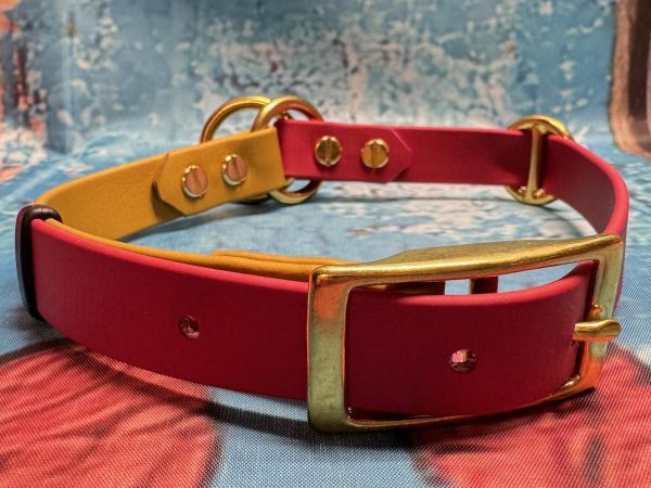 Zugstopphalsband verstellbar mit Schnalle , zweifarbig , 19 mm , 42-49 cm , Biothane Crimson Red und Gold , Hardware Messing