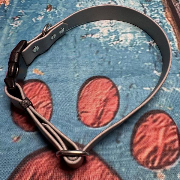 Verstellbares Halsband mit Klickverschluss , einfarbig , 25 mm , 35 - 55 cm , Biothane Silber , Hardware Silber